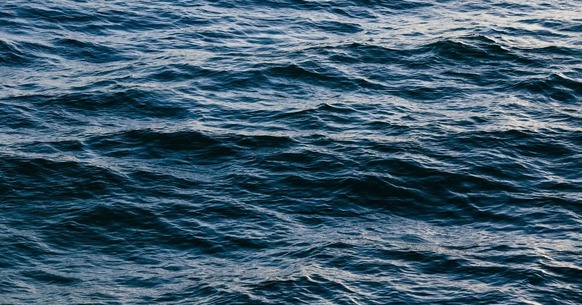 Nền dự án