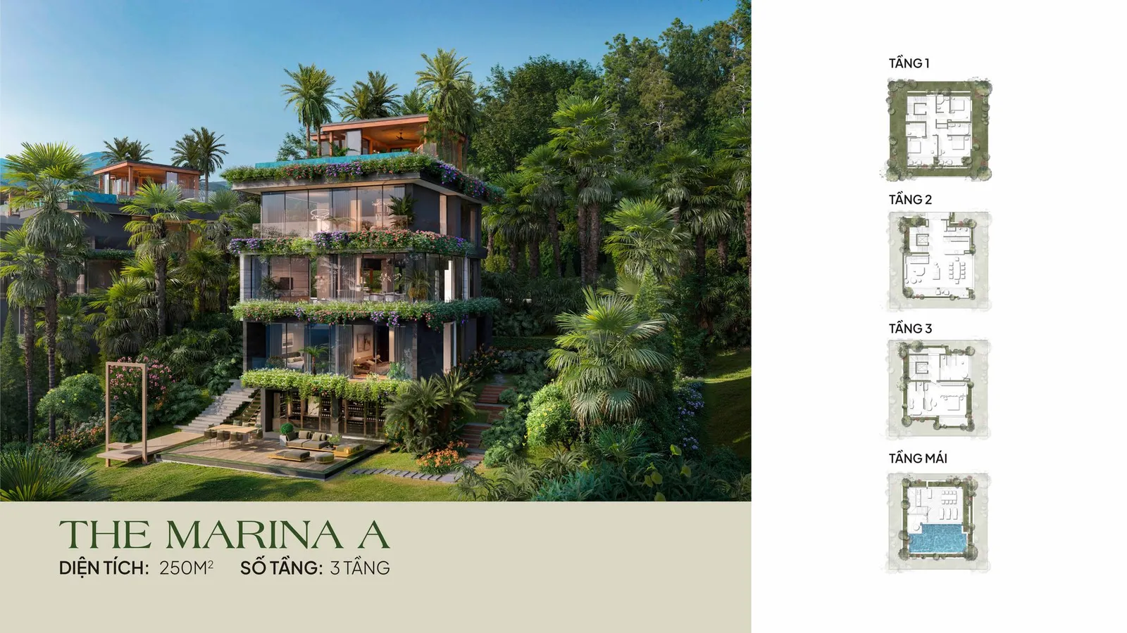 THE MARINA A