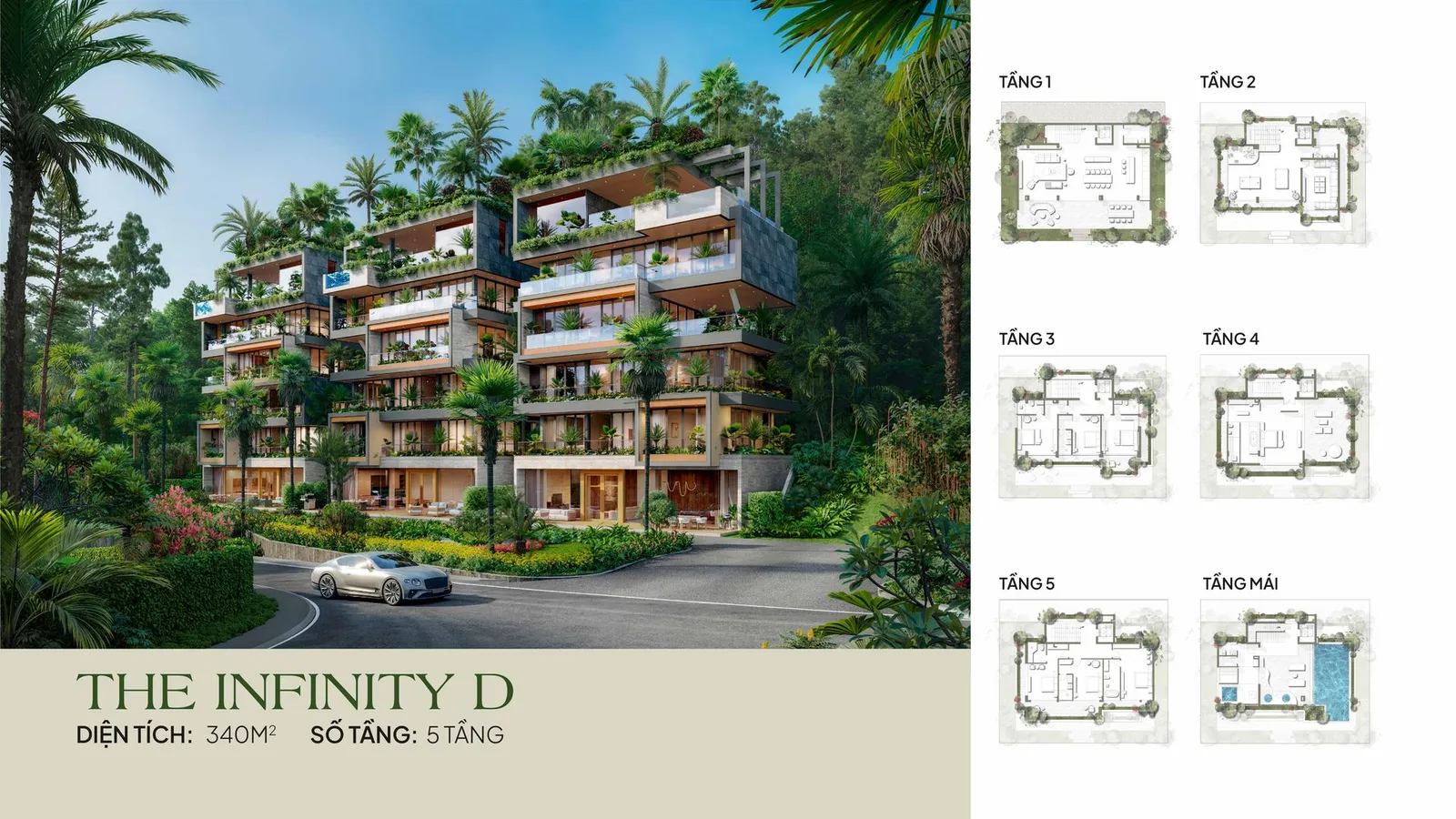 THE INFINITY D
