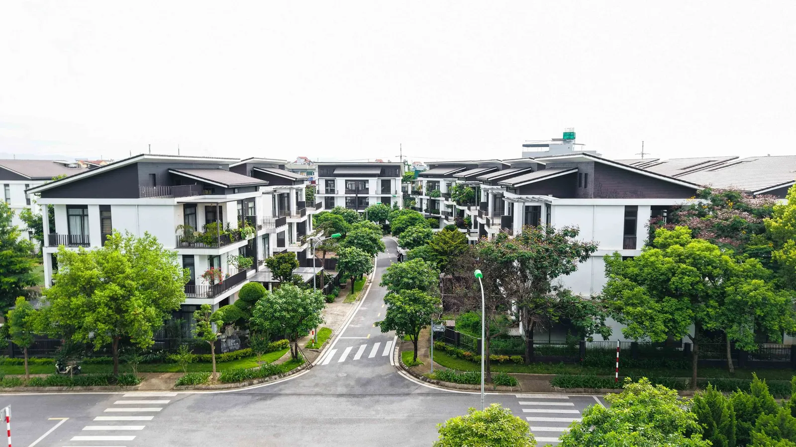 Nền dự án
