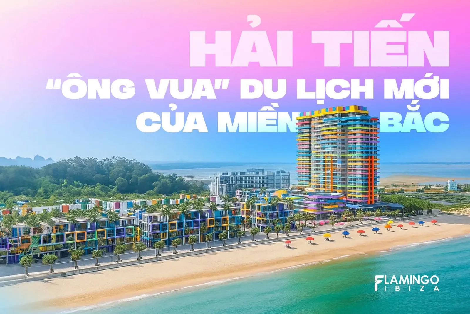 Ảnh dự án