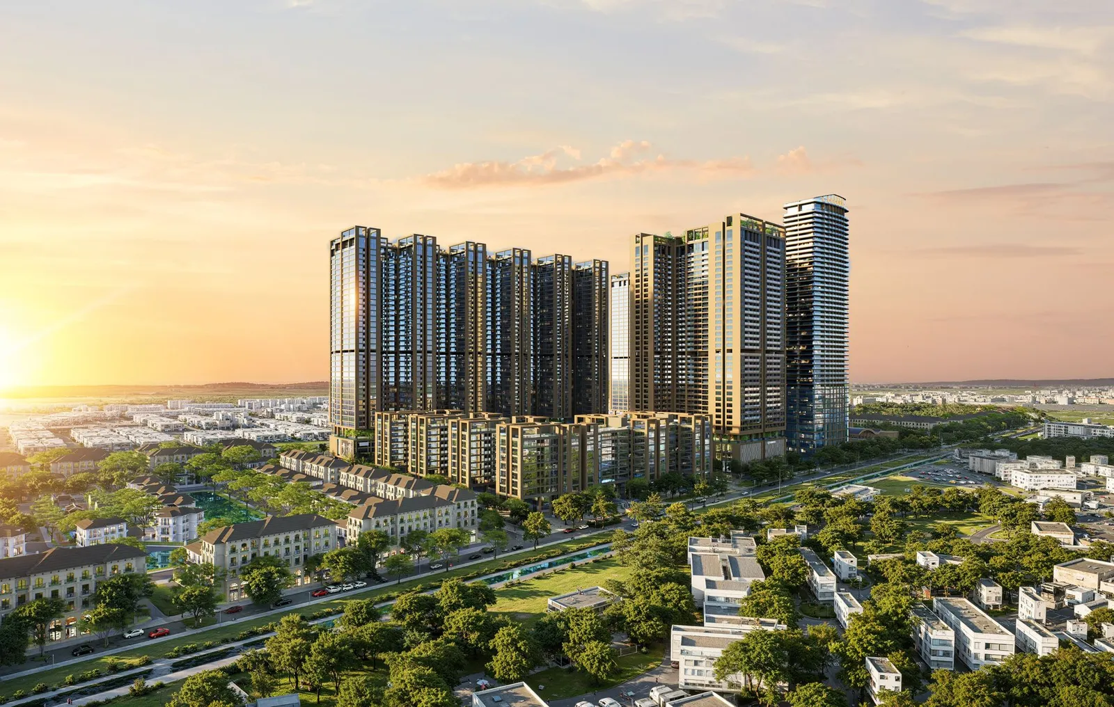 Ảnh dự án