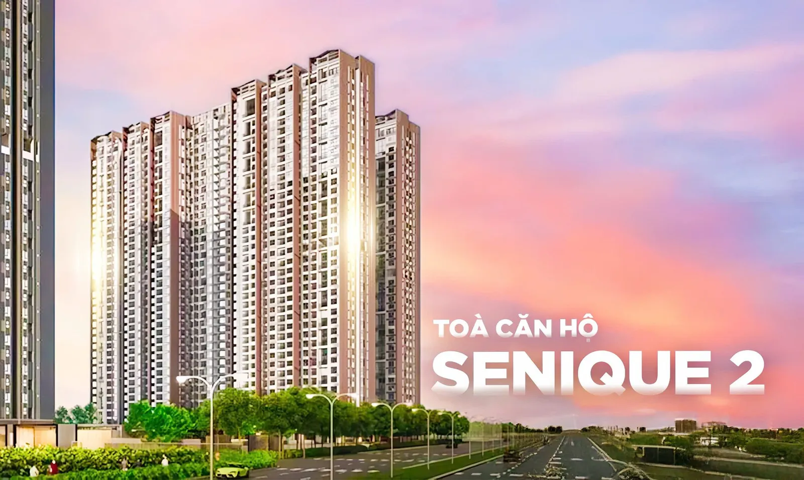 TOÀ SENIQUE 2