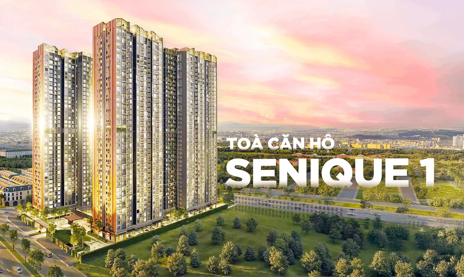 TOÀ SENIQUE 1