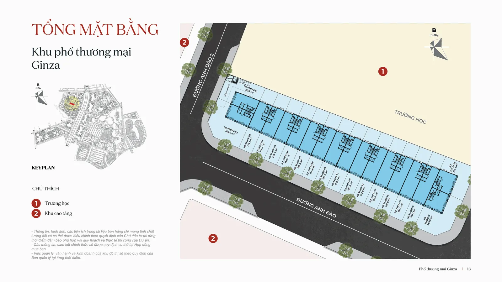 TỔNG MẶT BẰNG GINZA