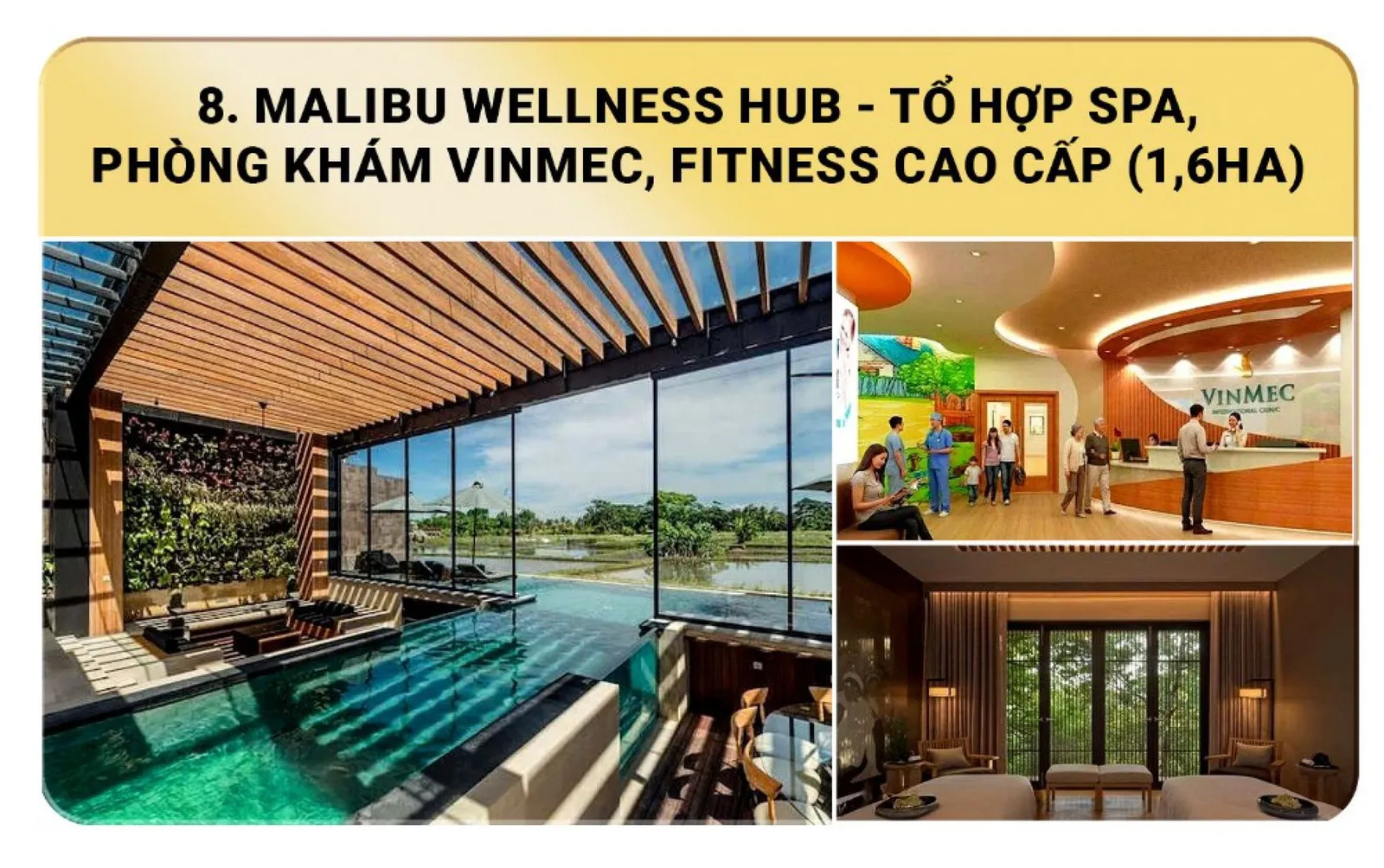 Malibu Wellness Hub